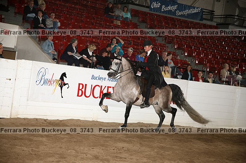 Proof buckeye_08_3743