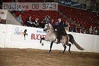 buckeye_08_3743 proof