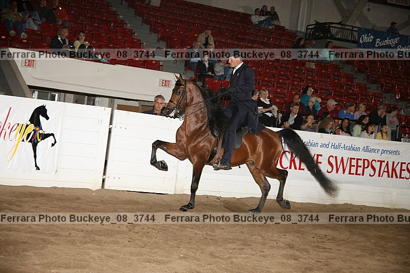 Proof buckeye_08_3744