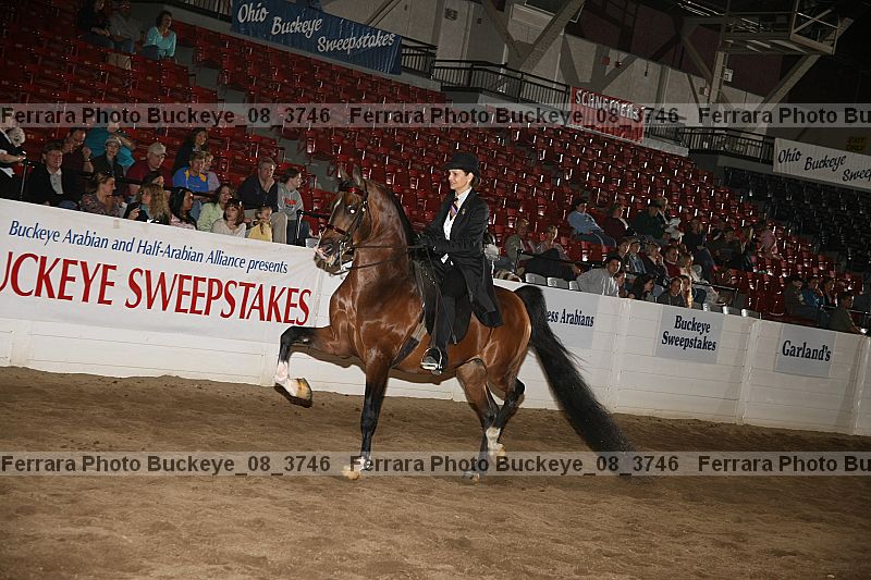 Proof buckeye_08_3746