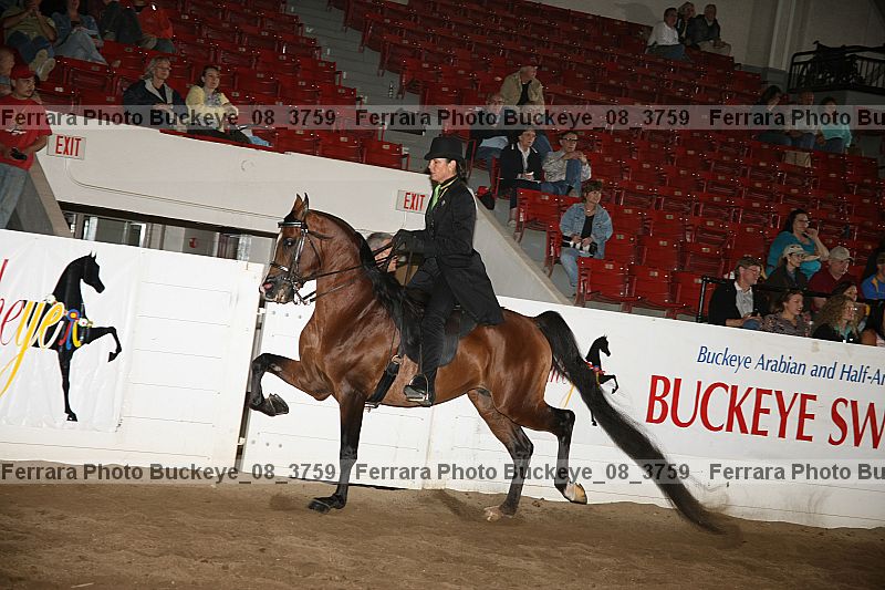 Proof buckeye_08_3759