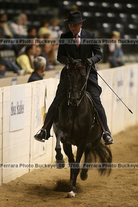 Proof buckeye_08_3760