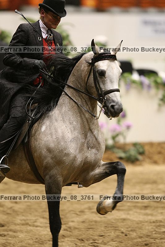 Proof buckeye_08_3761