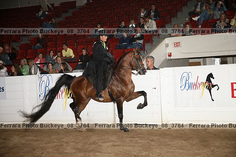 Proof buckeye_08_3764