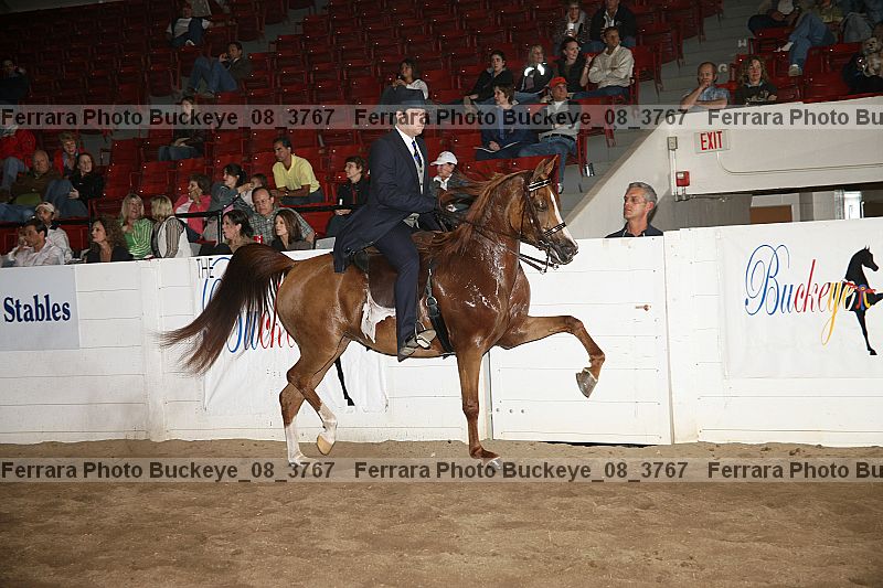 Proof buckeye_08_3767