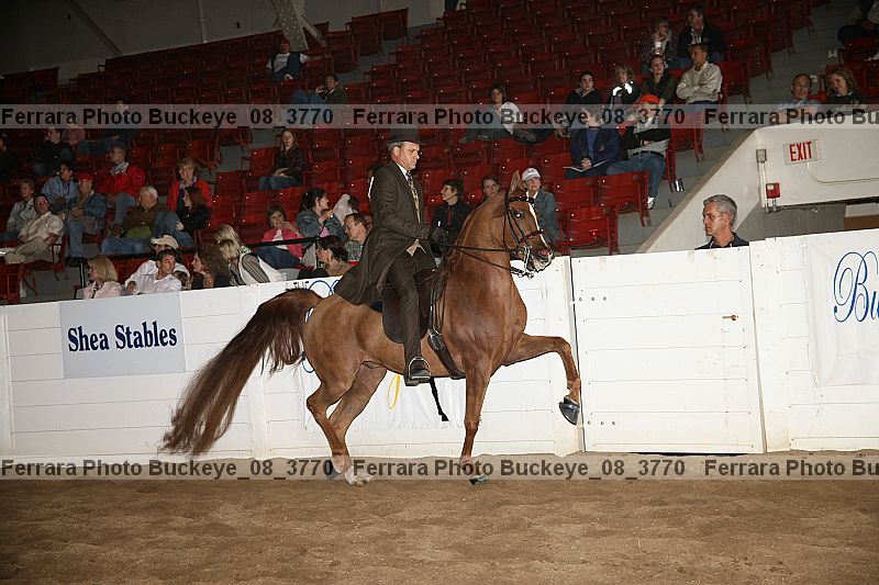 Proof buckeye_08_3770