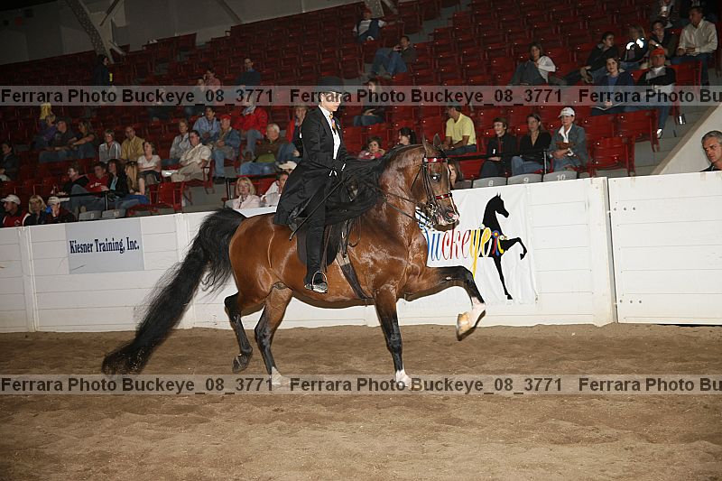 Proof buckeye_08_3771
