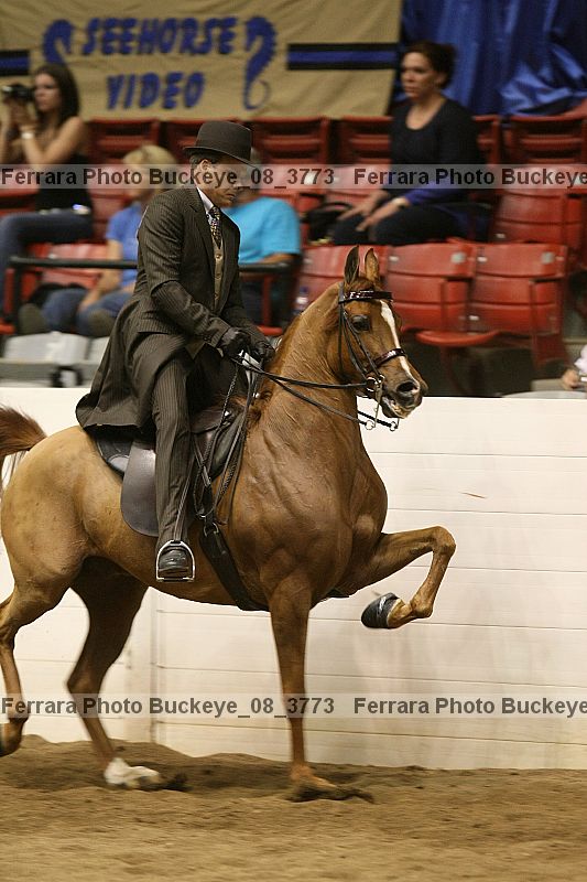 Proof buckeye_08_3773