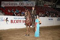 buckeye_08_3776 proof