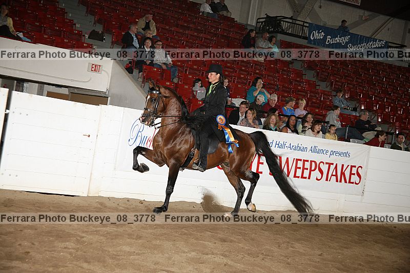 Proof buckeye_08_3778