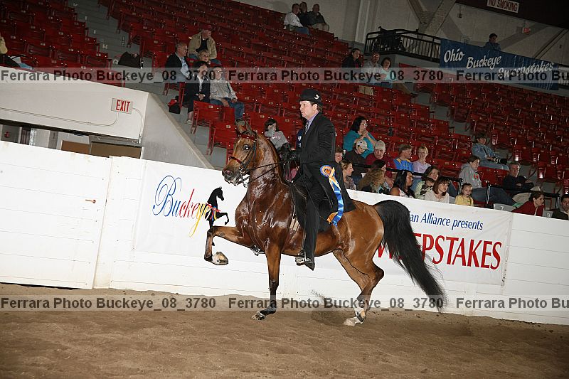 Proof buckeye_08_3780