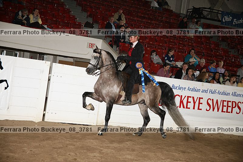 Proof buckeye_08_3781