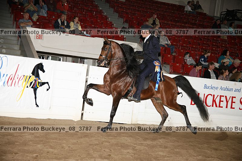 Proof buckeye_08_3787