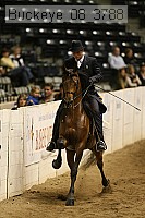 buckeye_08_3788 proof