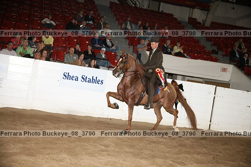 Proof buckeye_08_3790