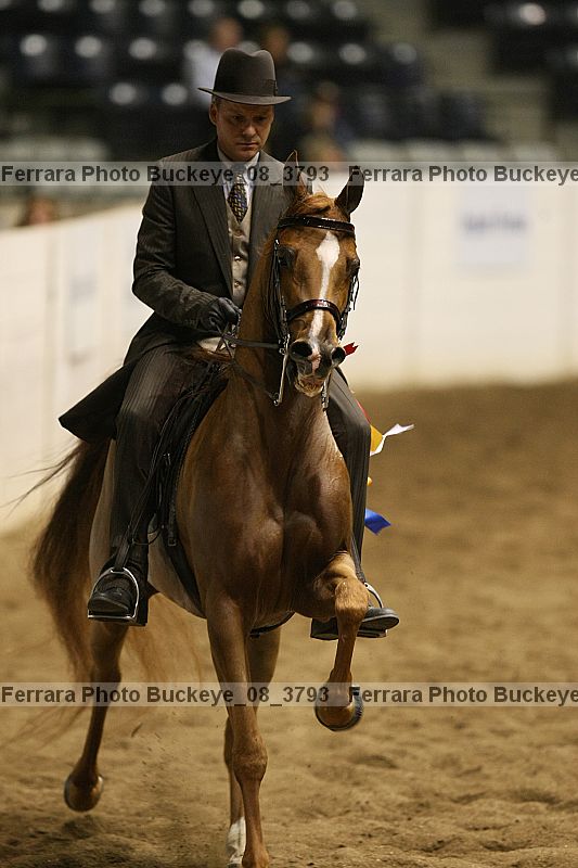Proof buckeye_08_3793