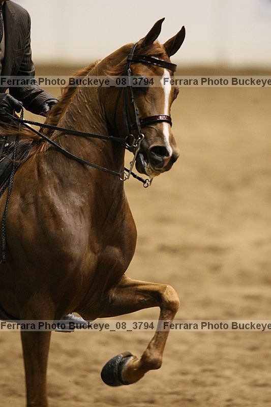 Proof buckeye_08_3794