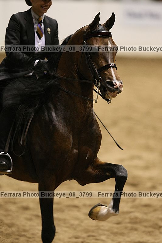 Proof buckeye_08_3799
