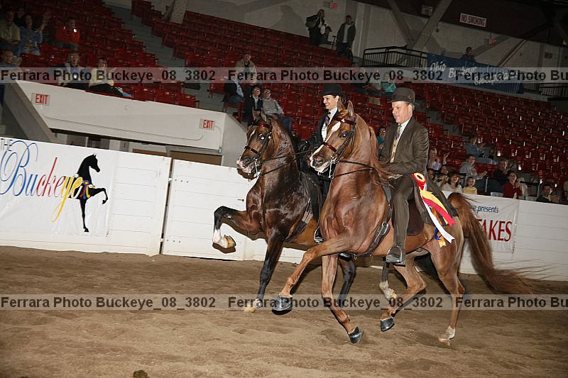 Proof buckeye_08_3802