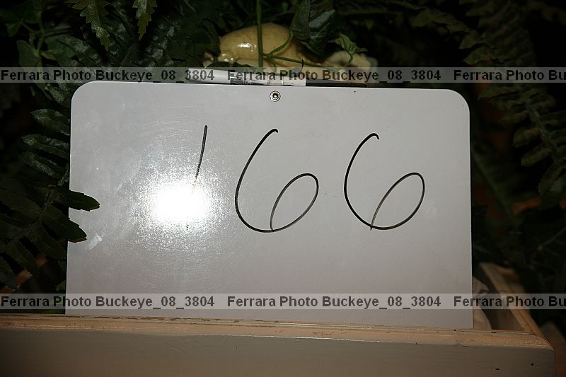 Proof buckeye_08_3804