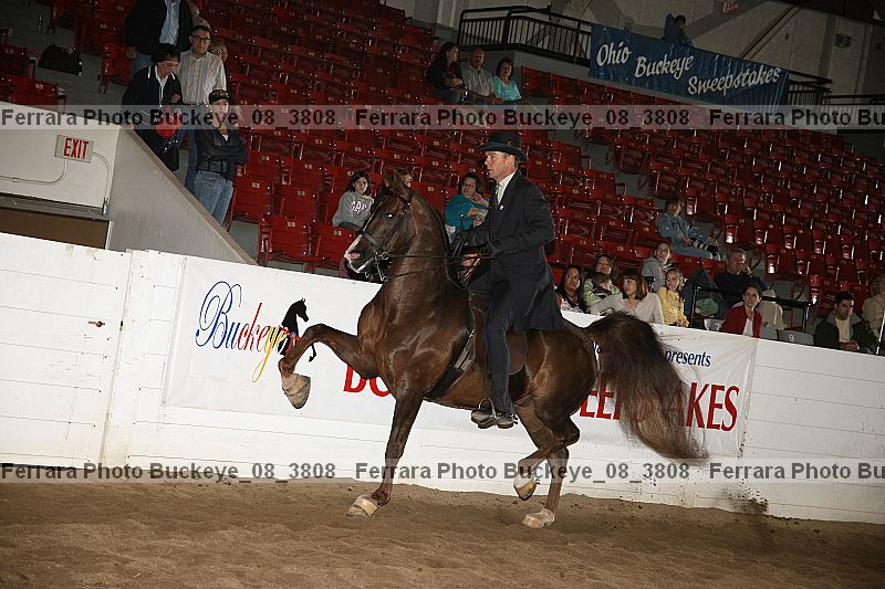 Proof buckeye_08_3808