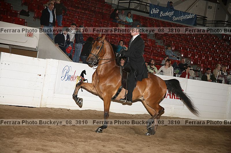 Proof buckeye_08_3810