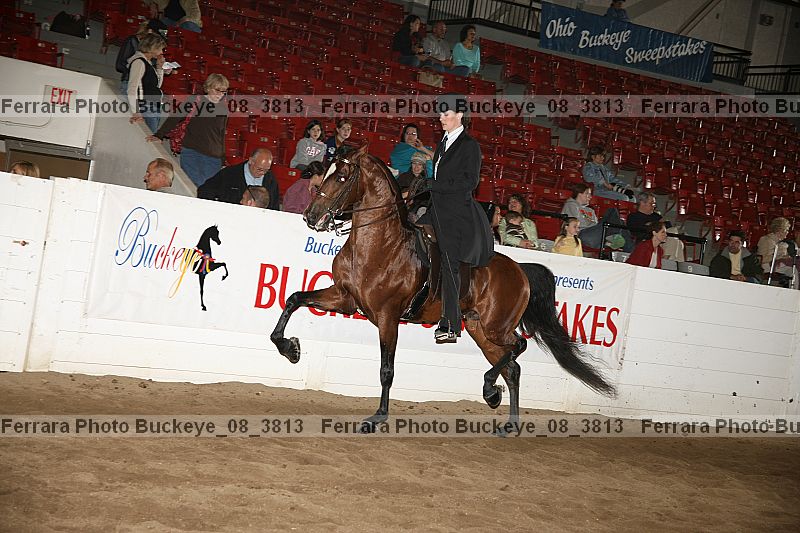 Proof buckeye_08_3813