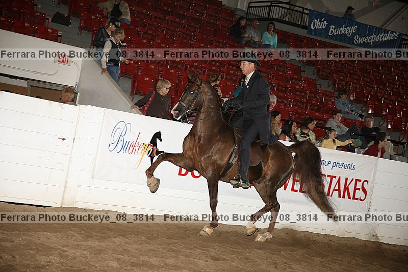Proof buckeye_08_3814