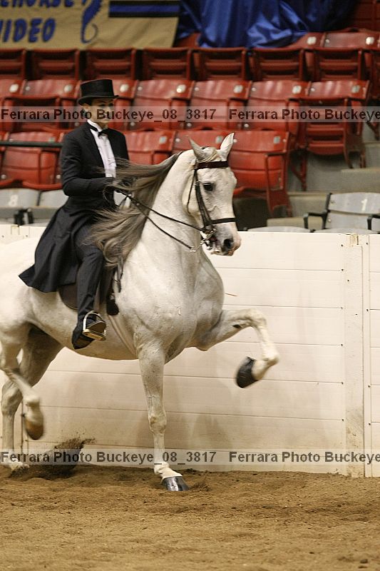 Proof buckeye_08_3817