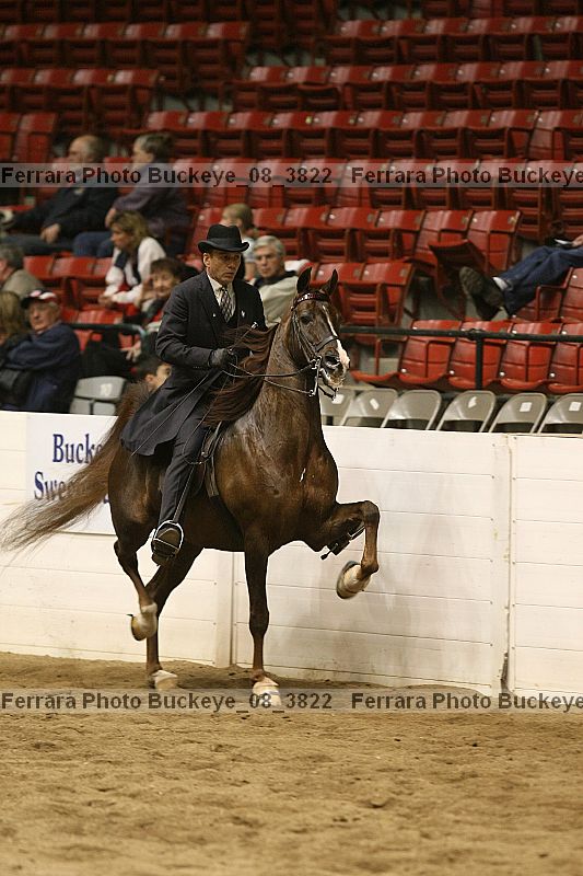 Proof buckeye_08_3822