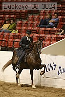 buckeye_08_3824 proof