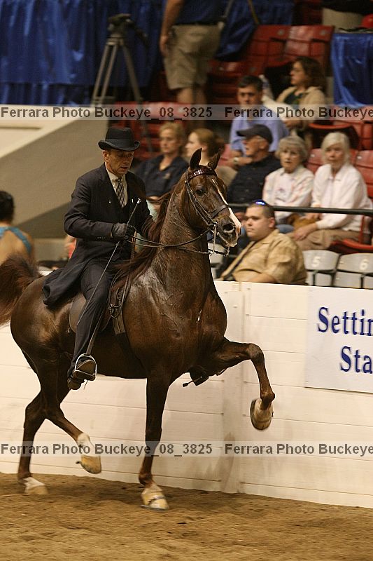 Proof buckeye_08_3825