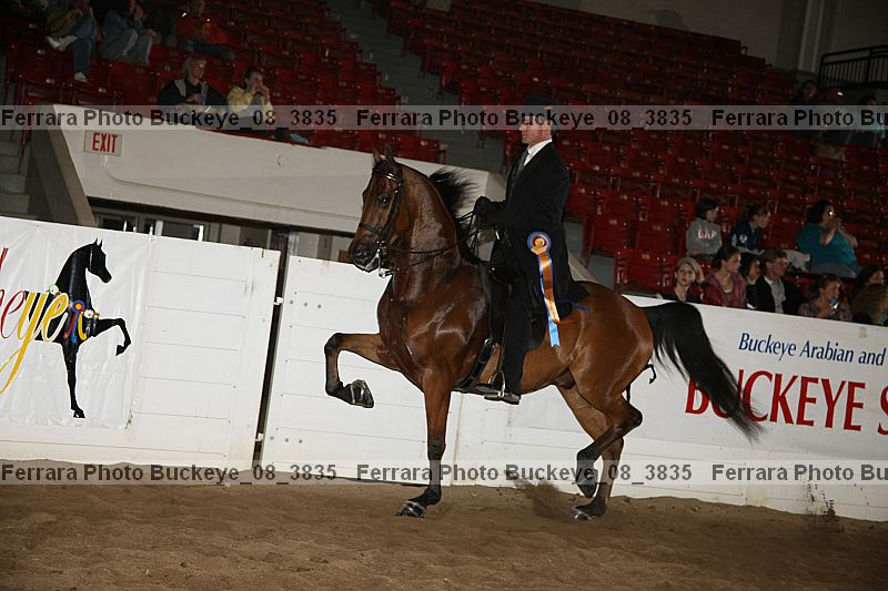 Proof buckeye_08_3835