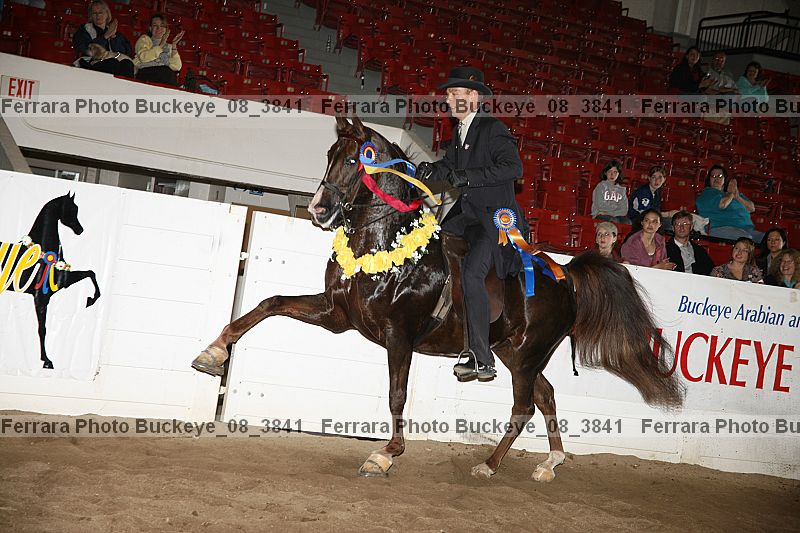 Proof buckeye_08_3841