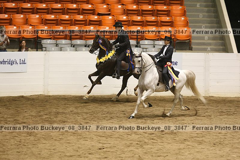Proof buckeye_08_3847