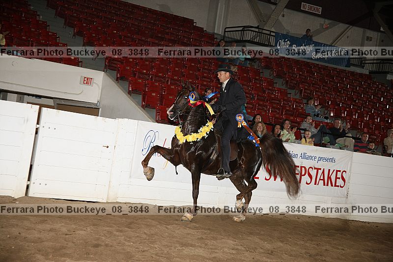 Proof buckeye_08_3848