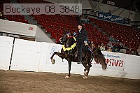 buckeye_08_3848 proof