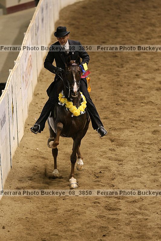 Proof buckeye_08_3850