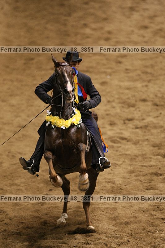 Proof buckeye_08_3851