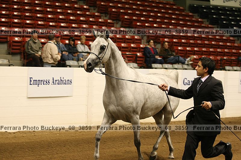 Proof buckeye_08_3859