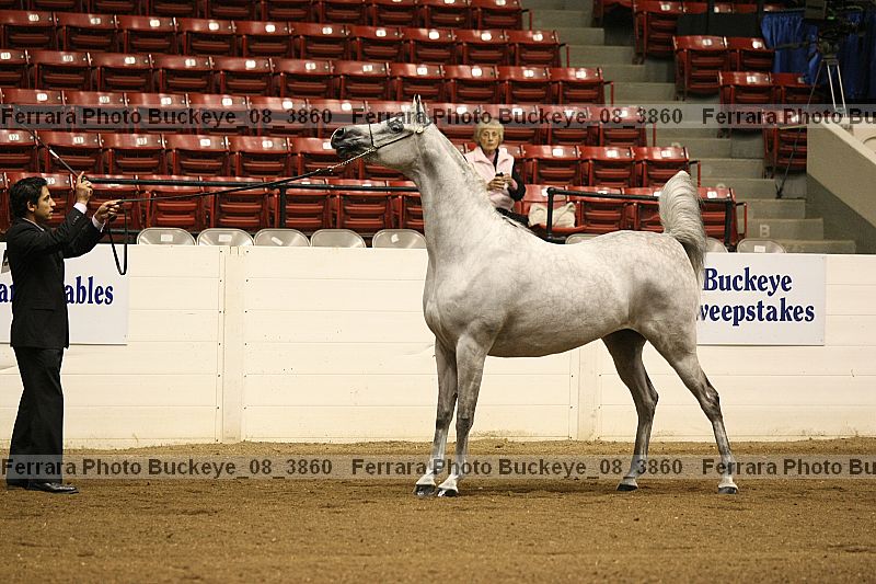 Proof buckeye_08_3860