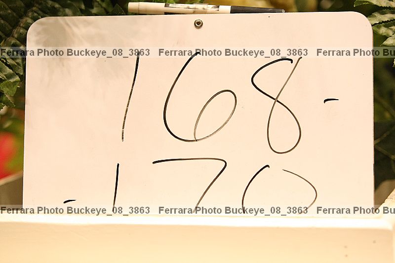 Proof buckeye_08_3863