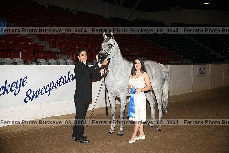 Proof buckeye_08_3864