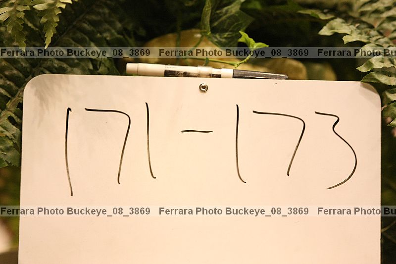 Proof buckeye_08_3869