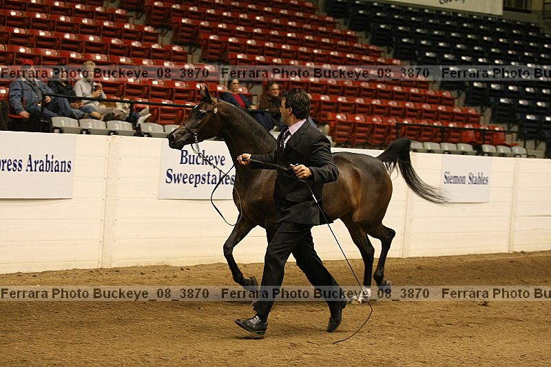 Proof buckeye_08_3870