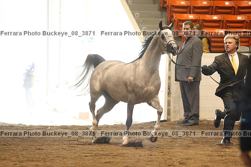 Proof buckeye_08_3871
