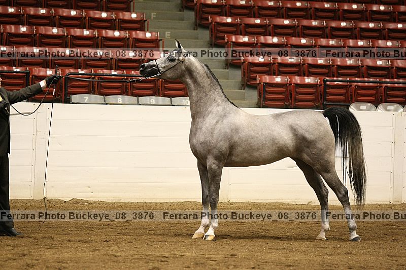 Proof buckeye_08_3876
