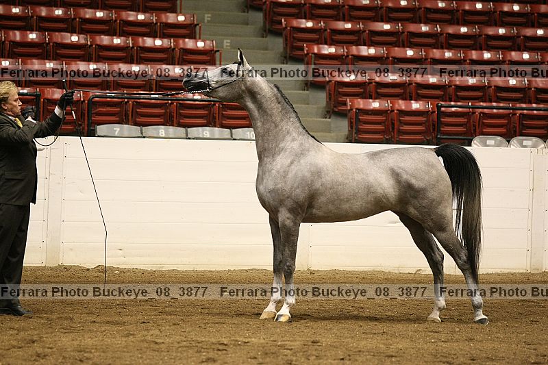 Proof buckeye_08_3877