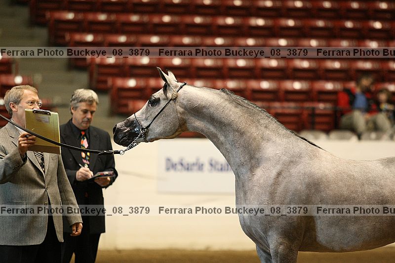 Proof buckeye_08_3879