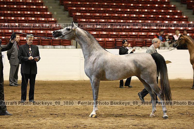 Proof buckeye_08_3880